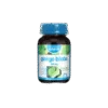 GINKGO BILOBA 500mg