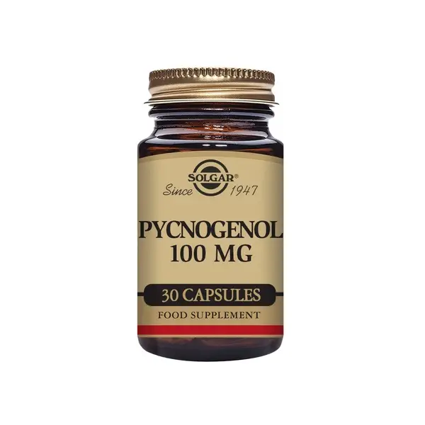 Pycnogenol 100g